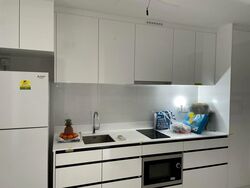 Parc Botannia (D28), Condominium #602089991